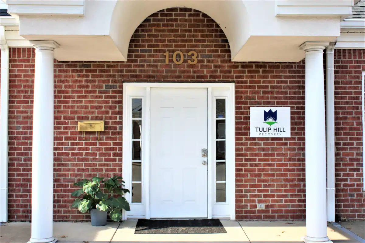 Tulip Hill Recovery - Preview